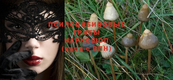крисы Иннополис