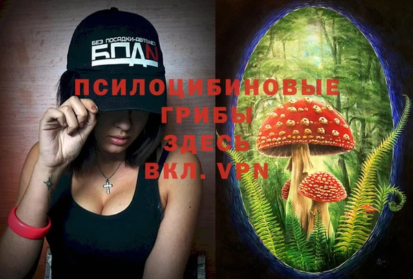 MESCALINE Каменка